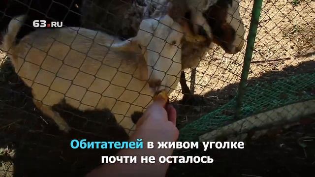 Чем живет Заводское шоссе? смотреть онлайн