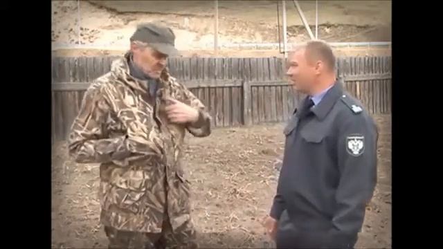 Золотистая картофельная нематода Передача Во саду ли, в огороде смотреть онлайн