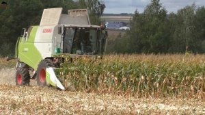А ты знаешь как производится уборка кукурузы на зерно?!