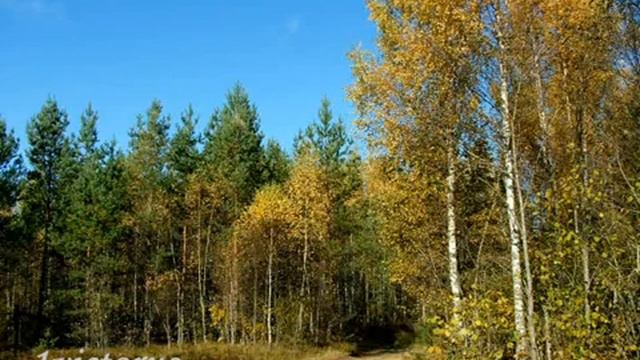 Осень - Autumn -relax- смотреть онлайн
