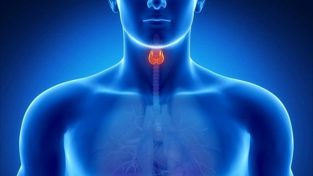 Рак горла - первые симптомы. смотреть онлайн