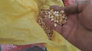 Ручная сеялка. Отзыв за много лет использования.