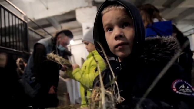 Ход конём смотреть онлайн