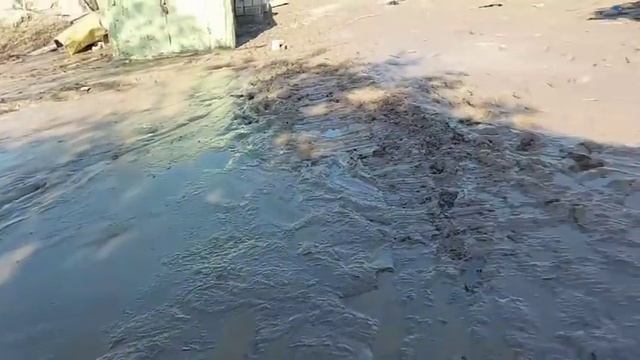 СЕЛ ДАР ЯК ОИЛА ТО 200,000,СОМОН ЗАРАР ОВАРДАЙ 1 МОШИН 8 ГОВ ОГУЛУ НАВЕС ХАМАРА БУРД 4 мая 2021 смотреть онлайн