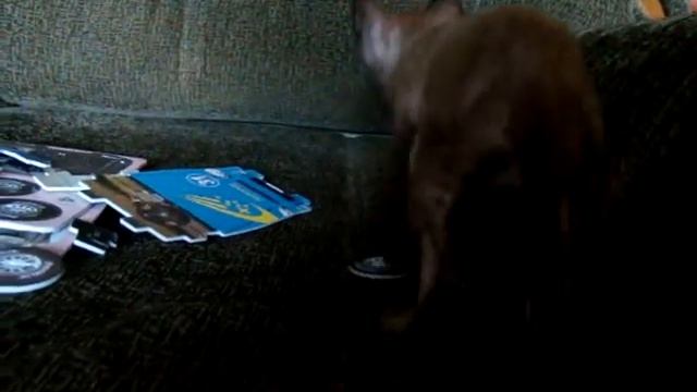 Ганечка 2,5 месяцев смотреть онлайн