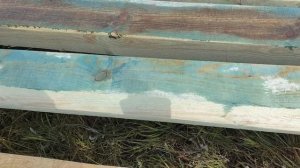 Как избавиться от грибка и плесени на деревянных конструкциях