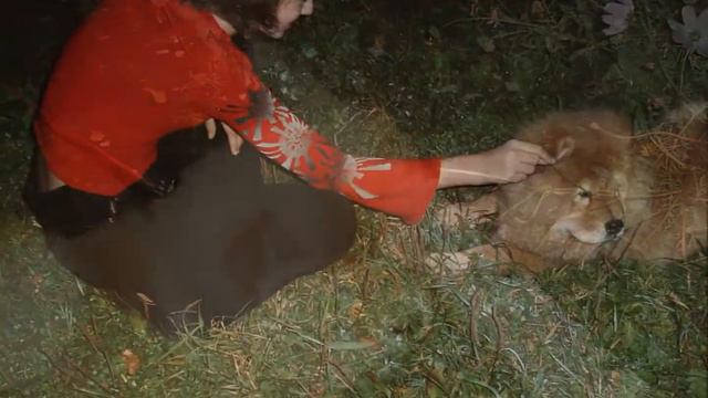 Детство пёски смотреть онлайн