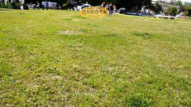 международная выставка собак всех пород, Харьков, стадион Пионер, 25062017, часть 2 смотреть онлайн