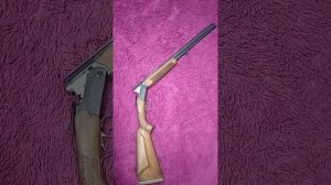 Ружье 20 калибра Тедна. Охотничий вариант.