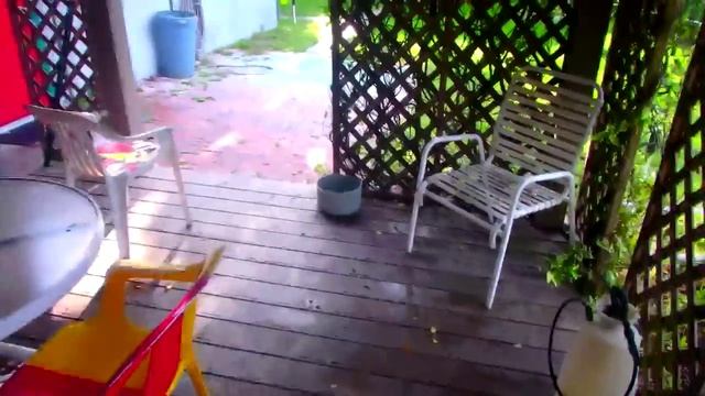 FloridaYalta Блинчики для мужа Холодец из рыбы 27.03.2015