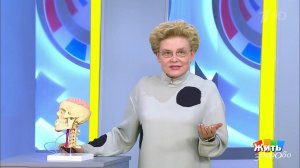 Жить здорово! Выпуск от 20.08.2021