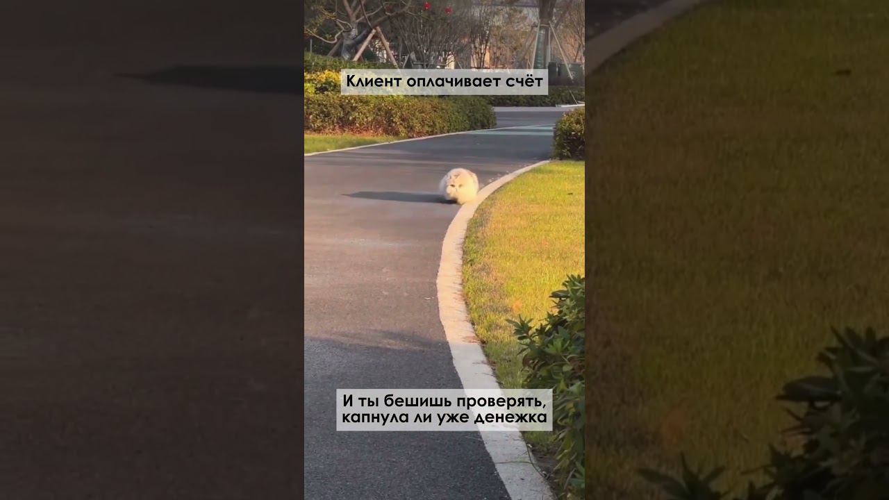 Счёт оплачен) смотреть онлайн