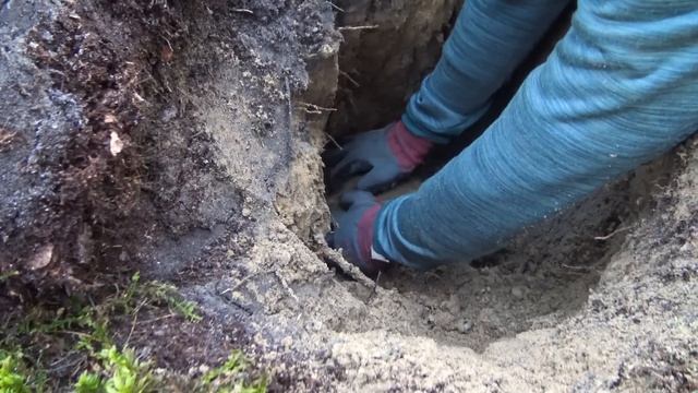 Metal detecting in Berlin while riding a ZEBRA (Himiway Ebike) смотреть онлайн