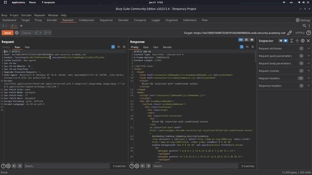 Blind SQL injection with conditional errors تعلم الحقن اليدوي смотреть онлайн