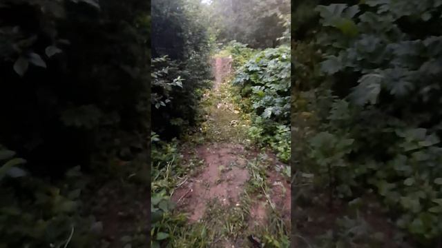 Красная Пахра. обзор фигур учебки 2023 смотреть онлайн