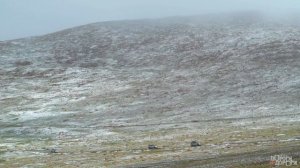 Чумные сурки. Монголия это горы. Морозы в июле. Как зайти в Монголию.