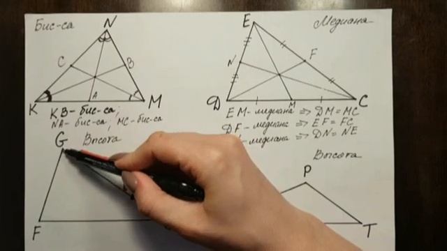 Как построить биссектрису, медиану и высоту в треугольнике смотреть онлайн
