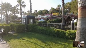 Уборщик провел беременную нищенку в ресторан, чтобы накормить… А когда хозяин увидел запись с камер