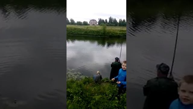Рыбалка на пахре 2018 июнь на поплывочную удочку белого амура смотреть онлайн