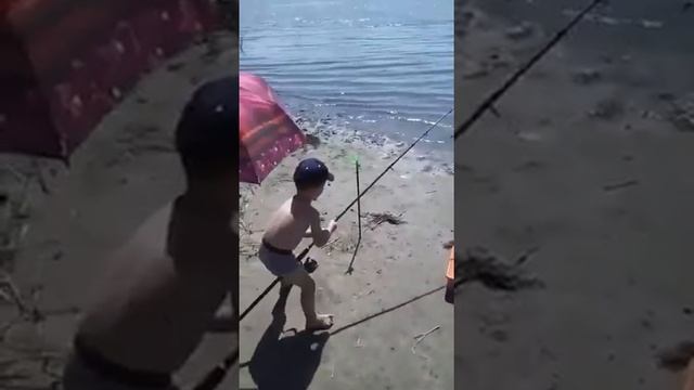 Рыба-конь смотреть онлайн