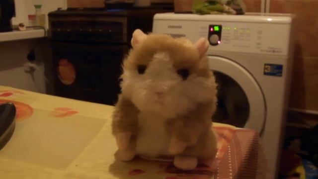 говорящий хомяк смотреть онлайн