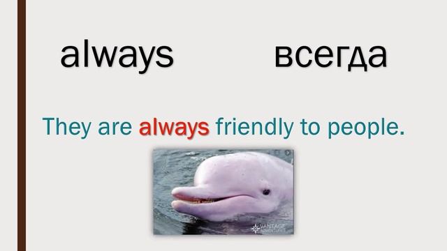 Adverbs of Frequency Grade 5 p 88 смотреть онлайн