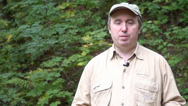 Патроны Federal