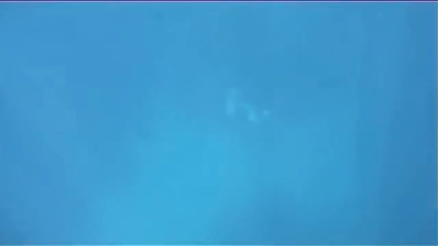 Funny Till Lindemann | New Compilation 2 | Rammstein