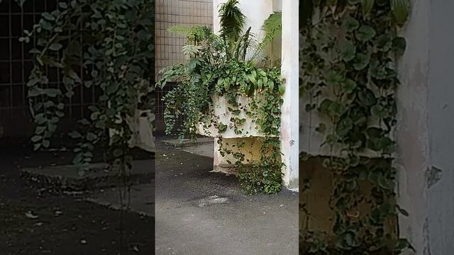 Удивительное рядом...12.09.23 #сон смотреть онлайн