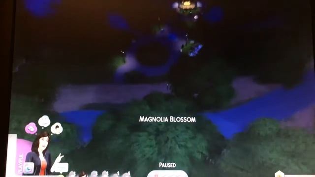 The end maybe sims 4 ep 4 Xbox one смотреть онлайн