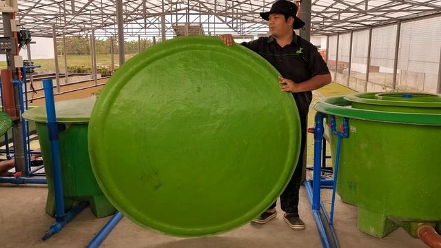 Aquaponics System by MADE смотреть онлайн