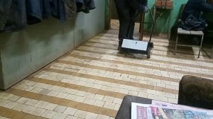 Тележка из гироскутера (самобеглая кравчушка).