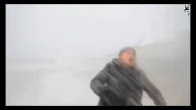 Fish Slap? смотреть онлайн