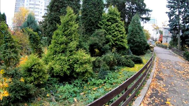 Казань смотреть онлайн