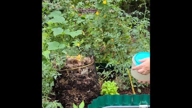 Keyhole Gardening смотреть онлайн