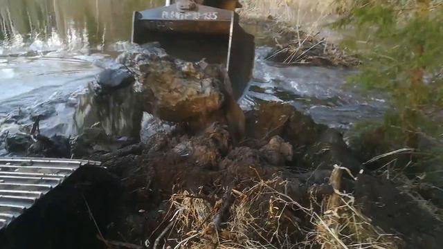 Huge Beaver Dam Taken Down By Excavator смотреть онлайн