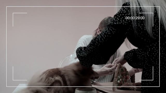 Обзор влажного корма Pesta для кошек/ Российское производство / Саша знает смотреть онлайн