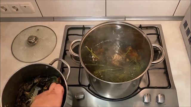 Приключения на Природе