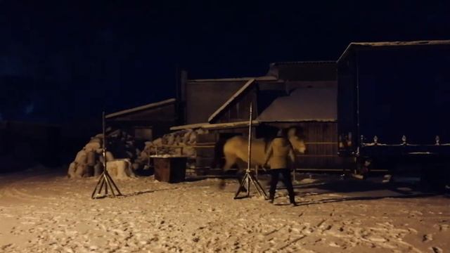 Обучение Дарчи. 35 выпуск. Хождение вокруг стоек и балансе. смотреть онлайн