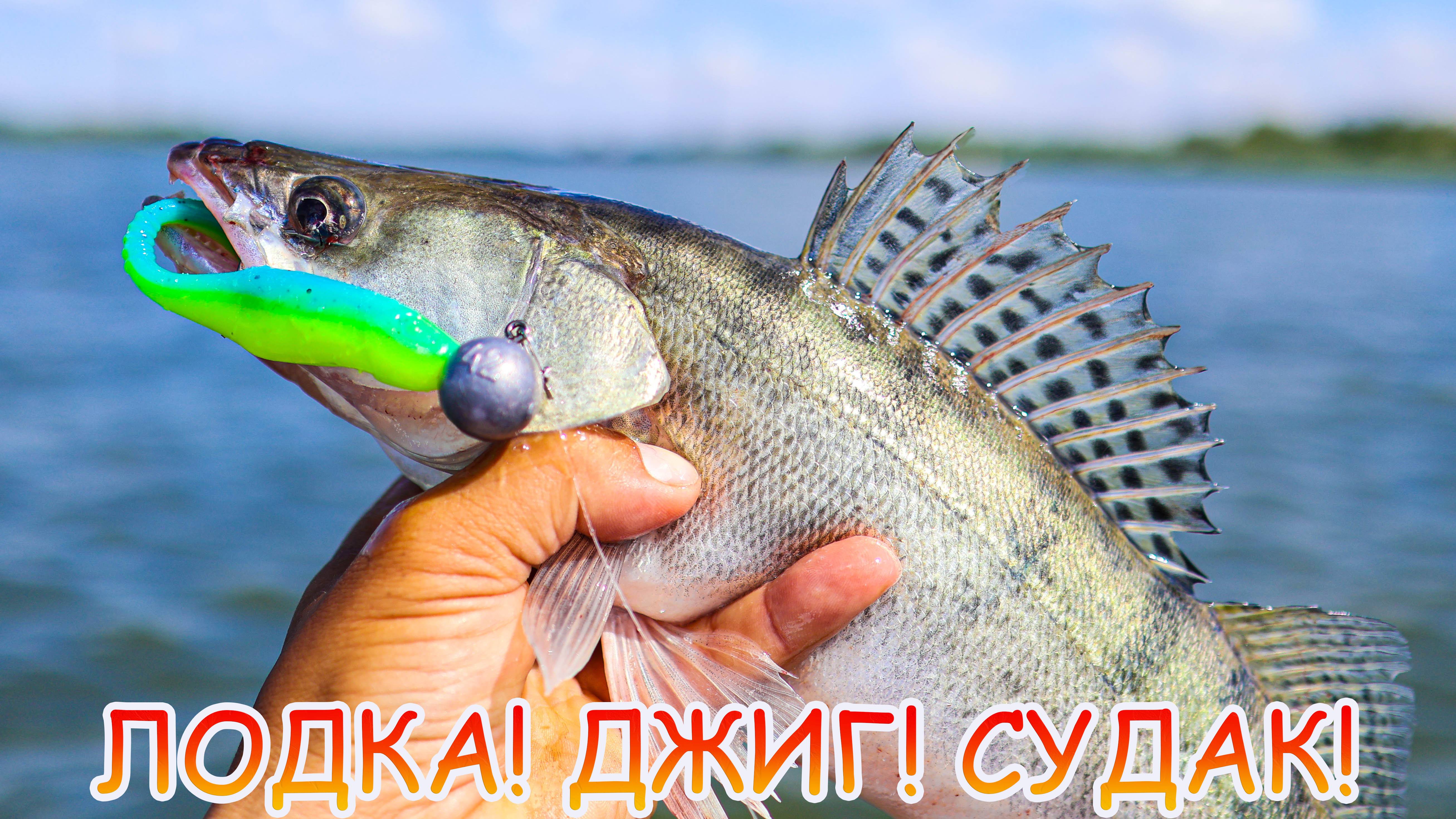 За судаком на Дон! Рыбалка с лодки на джиг. Настройки эхолота Garmin. смотреть онлайн