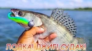 За судаком на Дон! Рыбалка с лодки на джиг. Настройки эхолота Garmin.