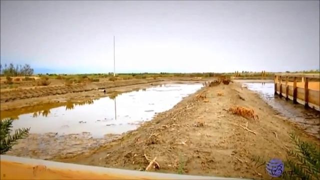 Яхтинг и Национальный парк Дельта Эбро !! смотреть онлайн