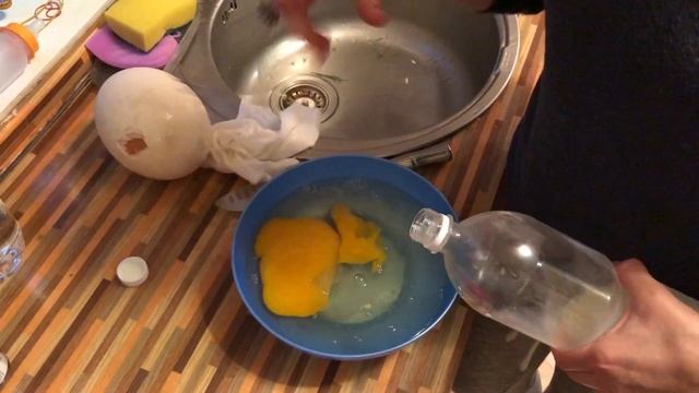 Омлет из страусиного яйца смотреть онлайн