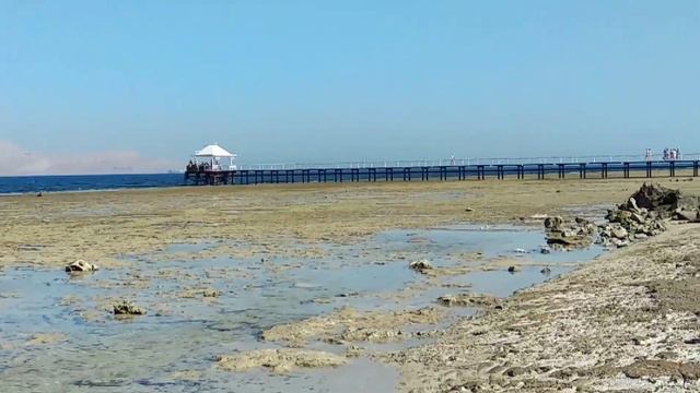 Пляж отеля Sharm Grand Plaza Resort 5* Прилив и отлив. смотреть онлайн