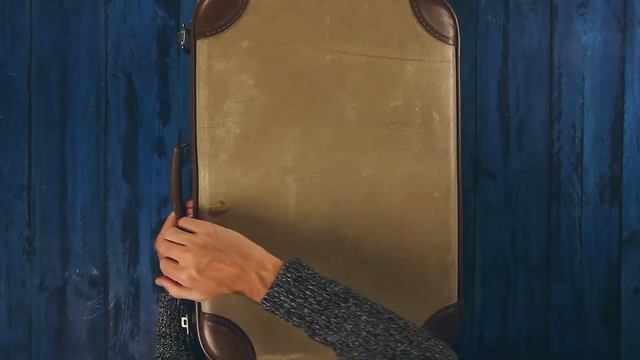 Лежанка для собаки из старого чемодана смотреть онлайн