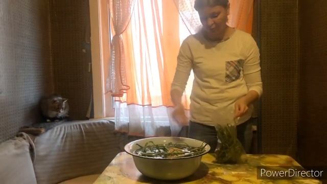 Салаты с Кальмарами