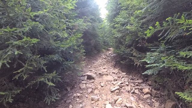 Похід на гору Хом'як та до Женецького водоспаду смотреть онлайн