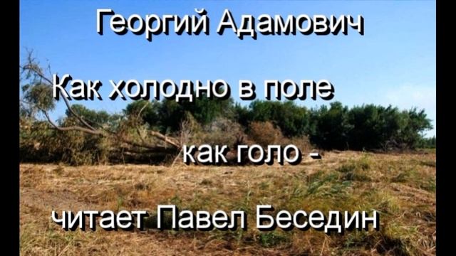 Как холодно в поле как голо, Георгий Адамович , Русская Поэзия ,читает Павел Беседин смотреть онлайн