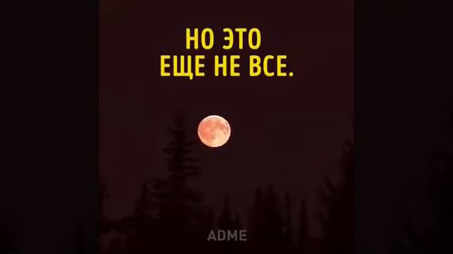 28 июля 2018 г. смотреть онлайн