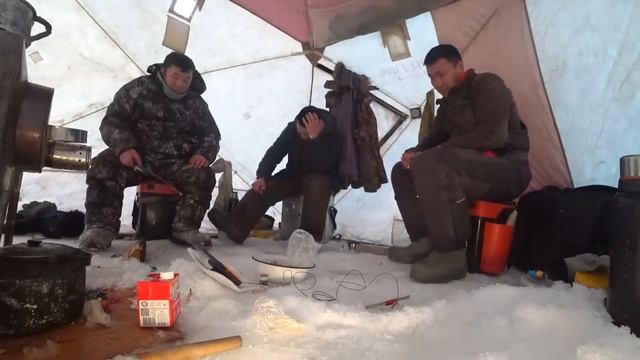 Неожидал!!! На ТУХЛУЮ ПРОШЛОГОДНЮЮ НАЖИВКУ! Якутия Yakutia смотреть онлайн